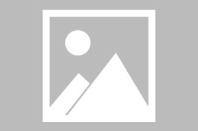 AYX-Rookie焦点对战，Scout与80激战加拿大队分钟，夺冠胜负难料！